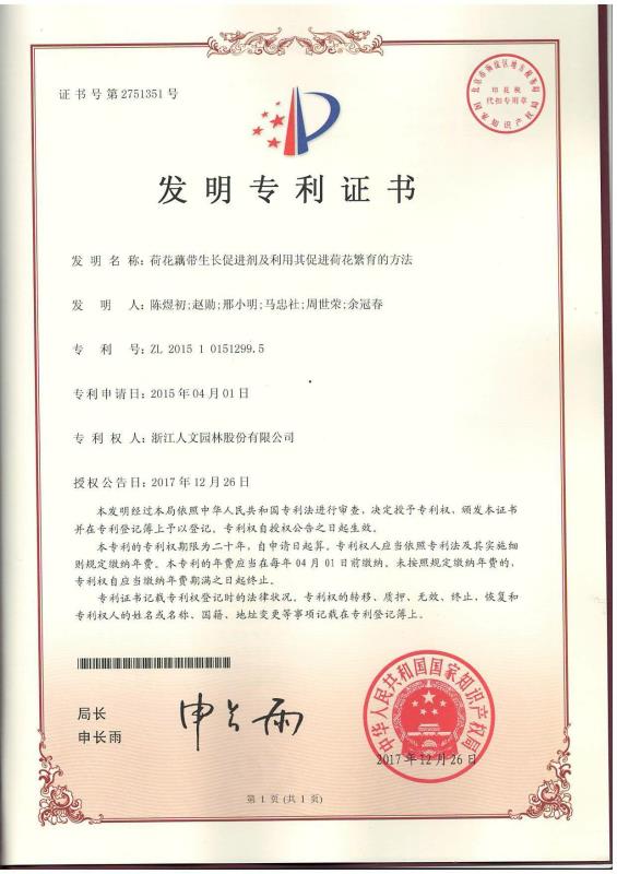 荷花藕帶生長促進劑及利用其促進荷花繁育的方法(發(fā)明）