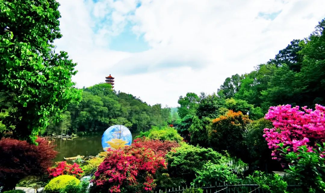 喜訊|2022粵港澳大灣區深圳花展“云”開幕，人文園林首次斬獲三項大金獎！